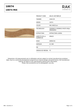 10074 mix - RAK Ceramics