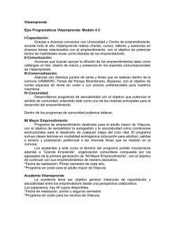 Vitaemprende Ejes Program&aacute;ticos Vitaemprende