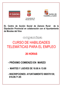 curso de habilidades telem&aacute;ticas para el empleo