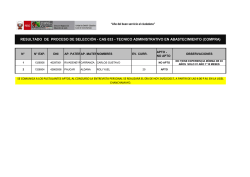 resultado de proceso de selecci&oacute;n - cas 033