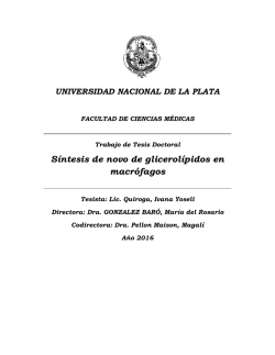 Documento completo Descargar archivo - SeDiCI