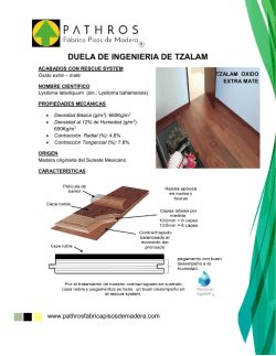 duela de ingenieria de tzalam - Pathros F&aacute;brica Pisos de Madera