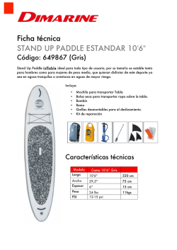 Ficha t&eacute;cnica STAND UP PADDLE ESTANDAR 10`6&rdquo;
