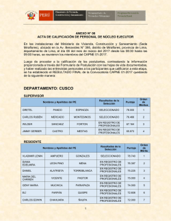Documento de Trabajo , para recibir aportes