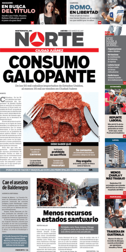 Descargar PDF - Nortedigital