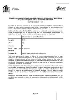 (Grupo I del RGC) CON ACC DE CATEGOR&Iacute;A GEN&Eacute;RICA. LIMITAC