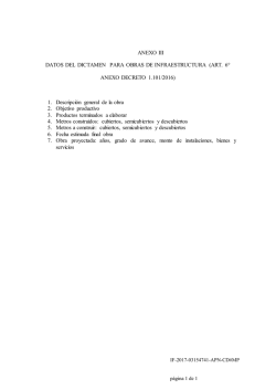 ANEXO III DATOS DEL DICTAMEN PARA OBRAS DE