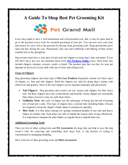 A Guide To Shop Best Pet Grooming Kit