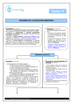 357329177-t-17-Esquema-Ejecucion-Dineraria