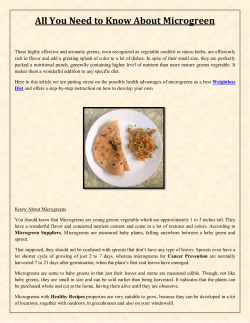 All You Need to Know About Microgreen