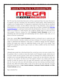 Control Nasty Pest In A Professional Way